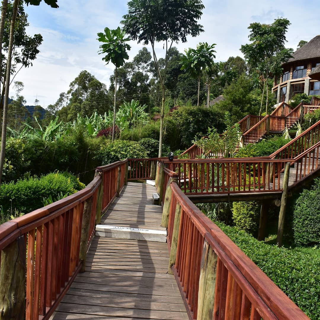 Lodges On Bwindi Impenetrable National Park