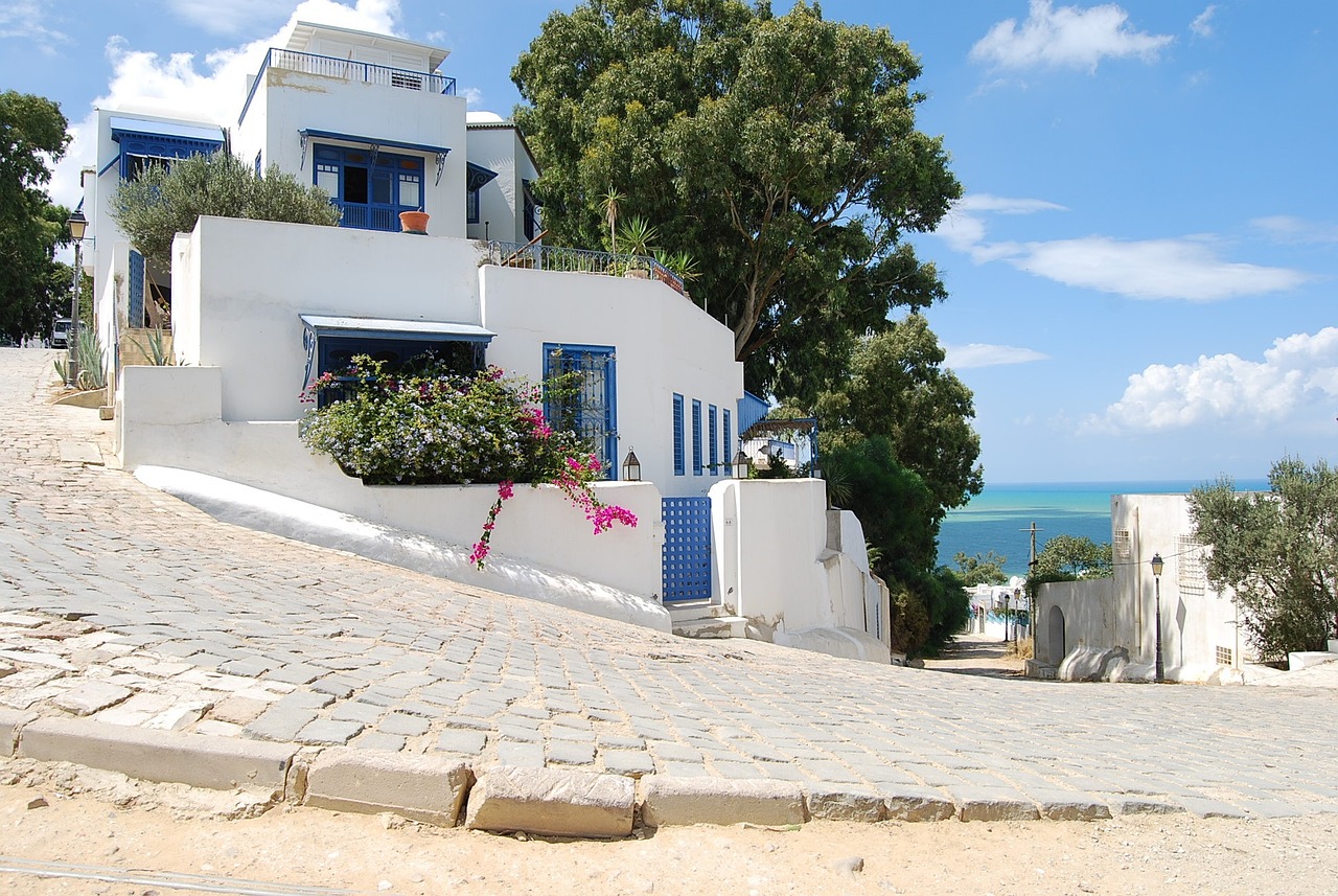 Sidi Bou Said top tourist attractions in Tunisia