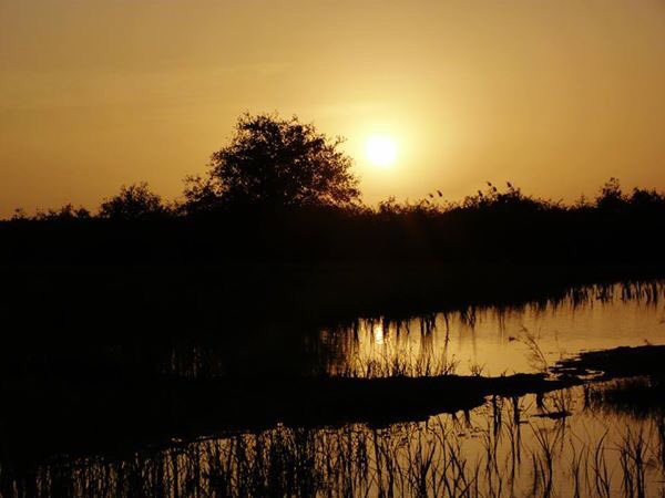 Sunset at Djoudj National Bird Sanctuary