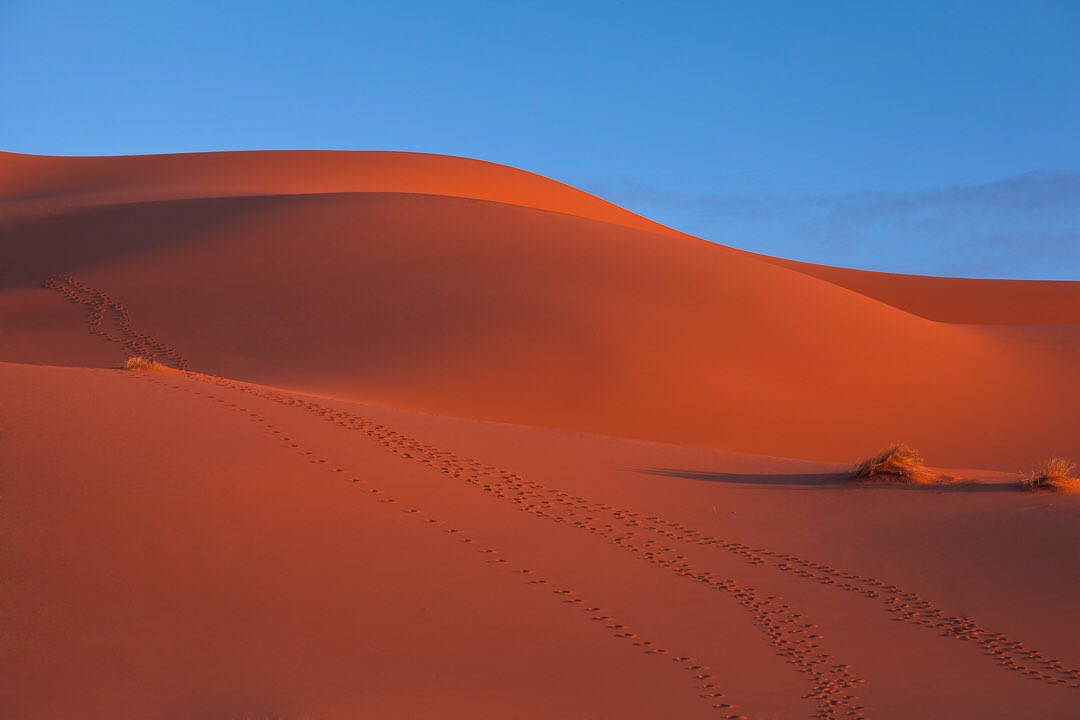 Erg Chebbi