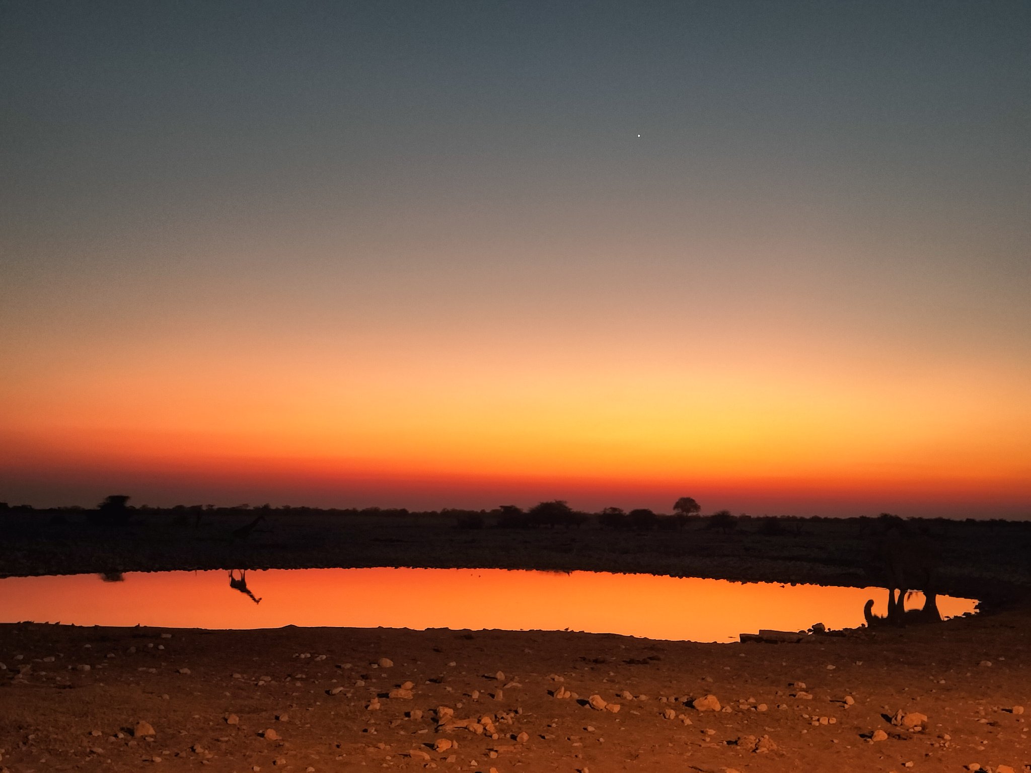 Pond in Etosha National Park