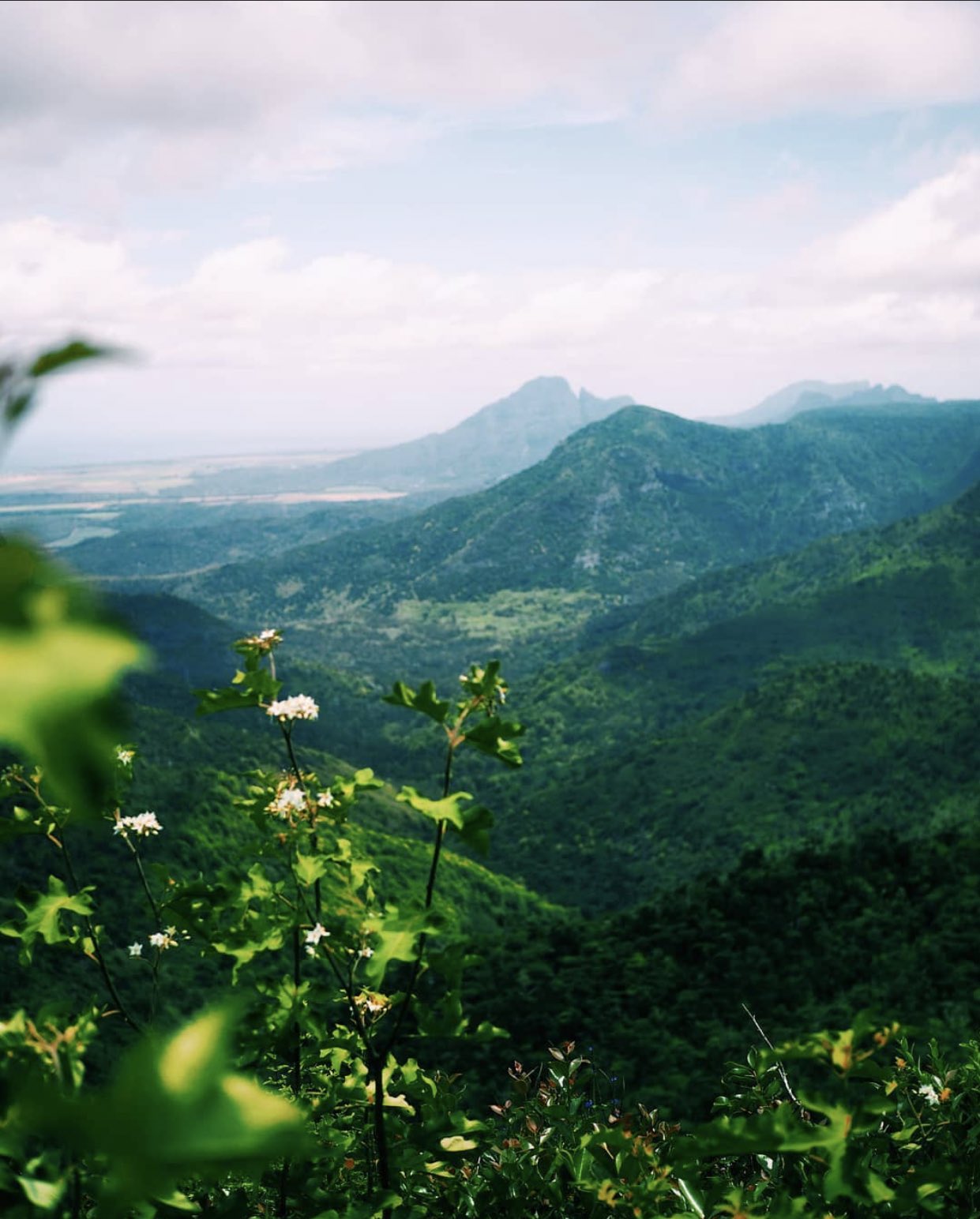 Gorges National Park_Tourist attractions Mauritius