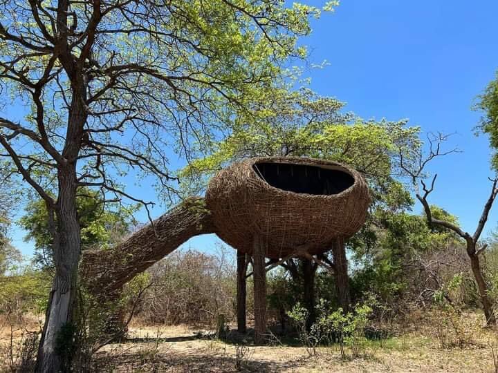 Kafue National Park