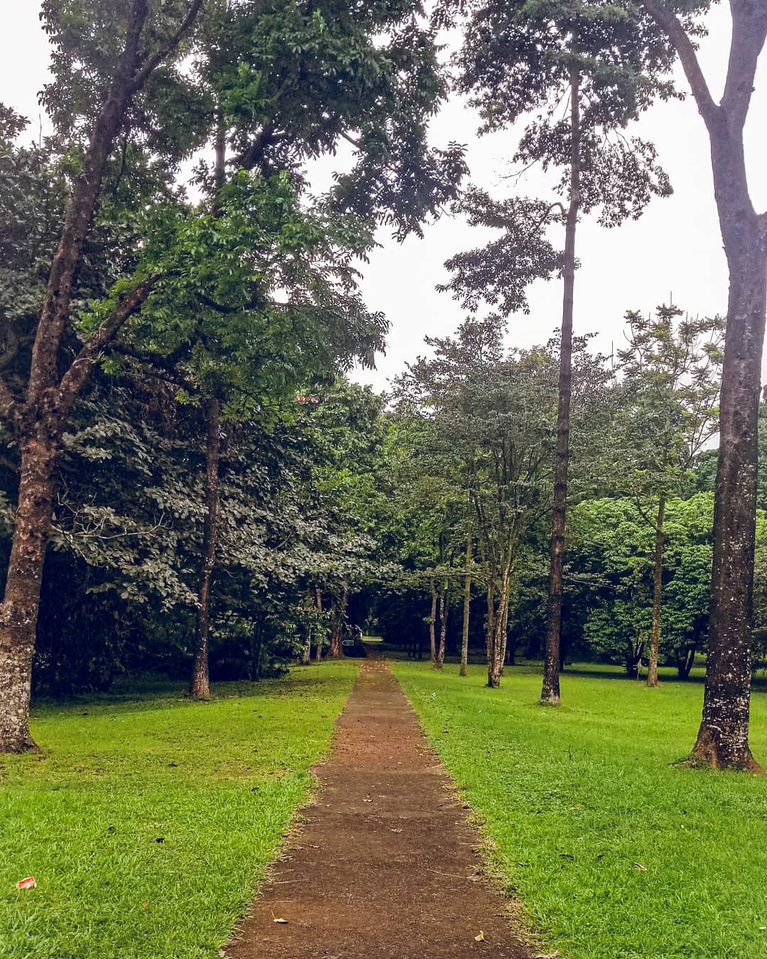 Passway in the Limbe Botanic Garden