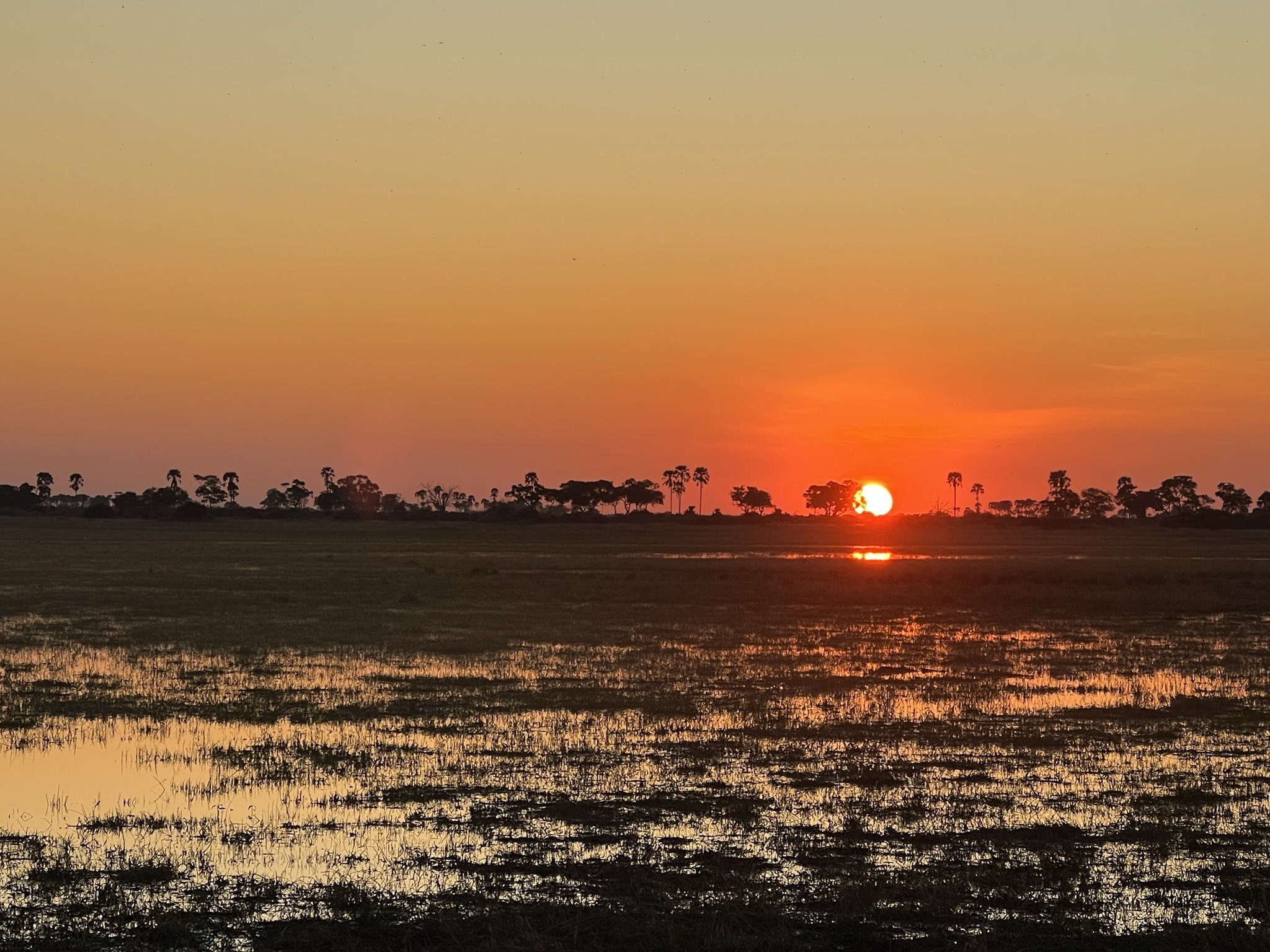 Sunset at the Okavango Delta