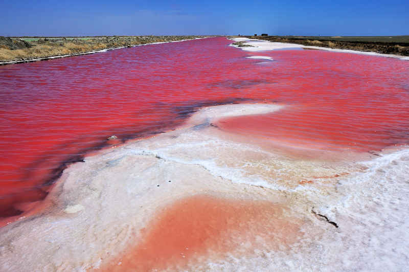 The Pink Lake