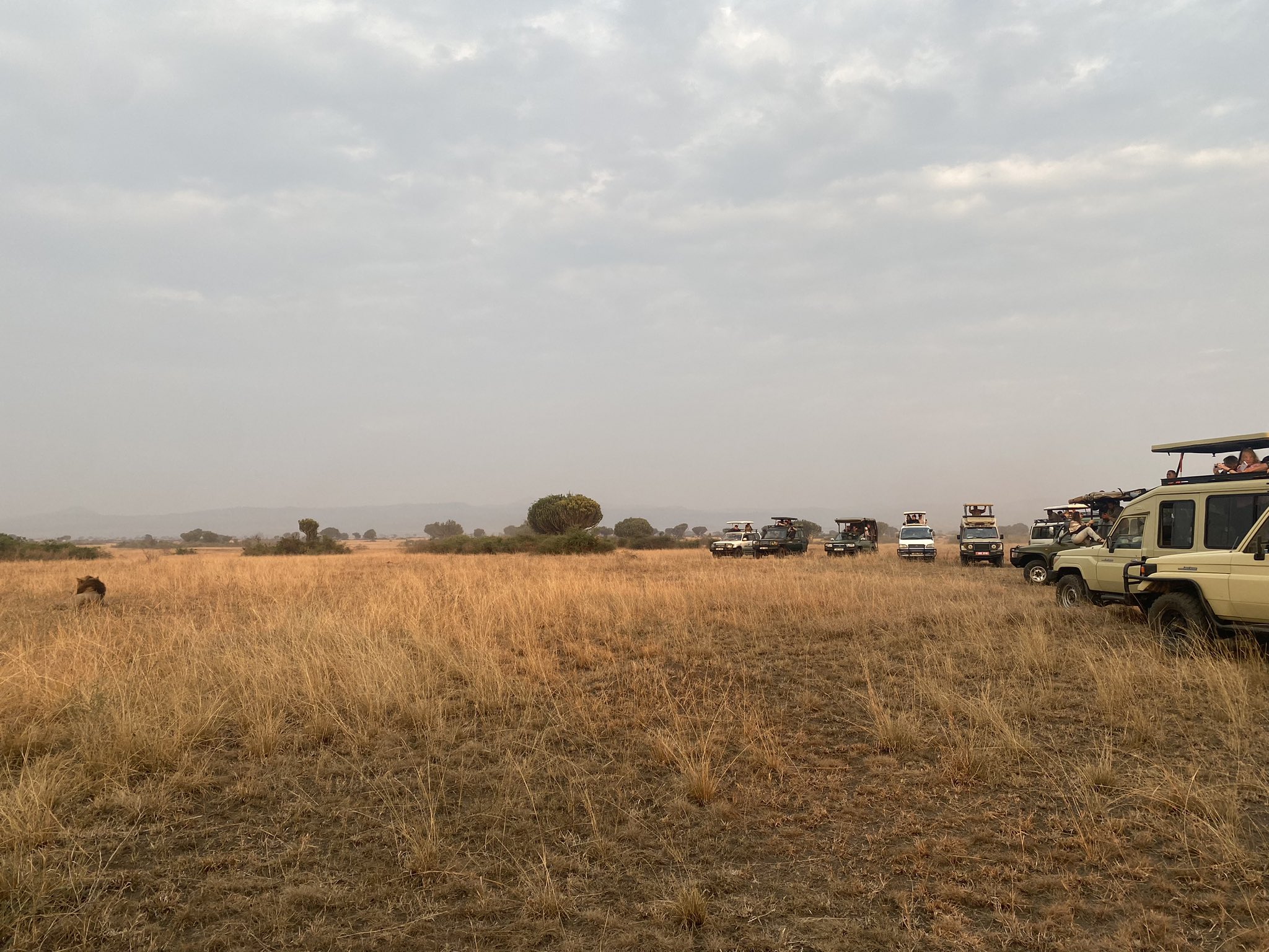 Tourists on Queen Elizabeth National Park