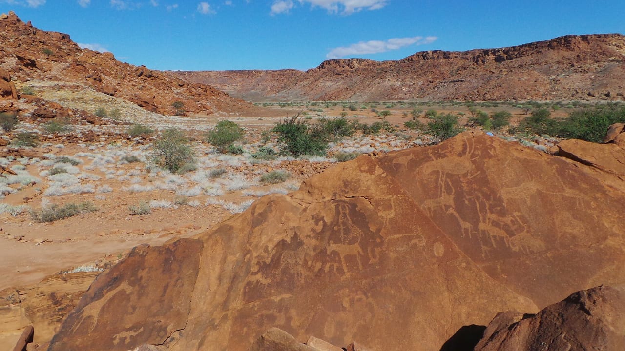 Rock engravings  at Twyfelfontein