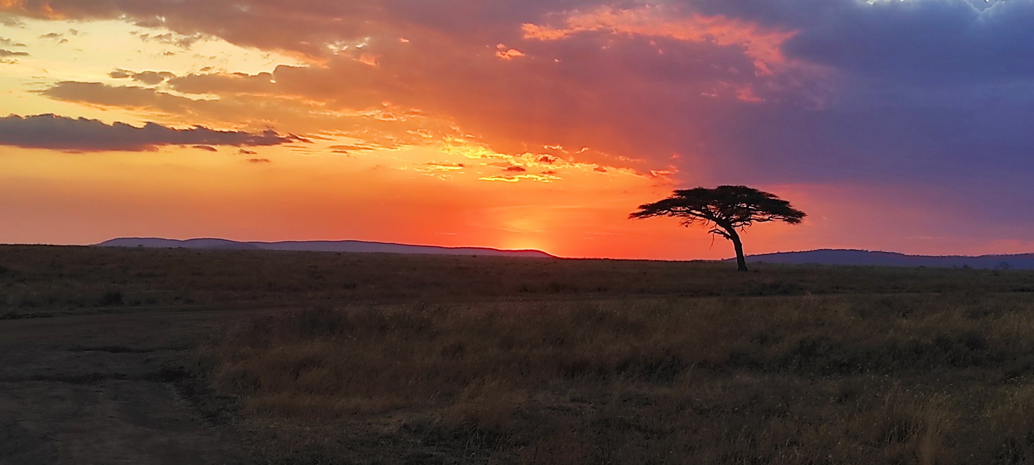 Sunset at Serengeti National Park