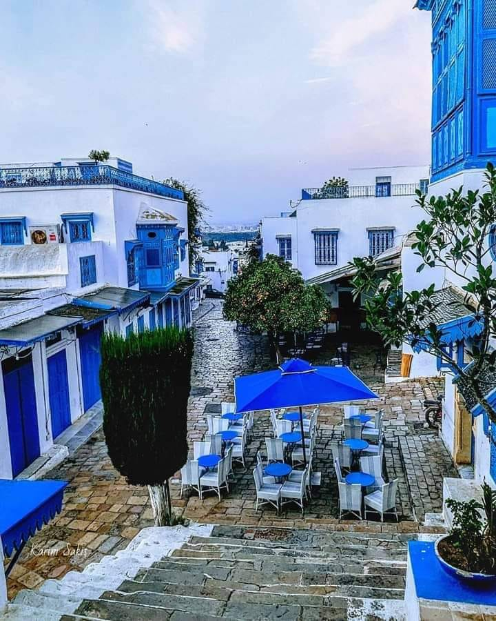 Blue and White Buildings in Sidi Bou Said