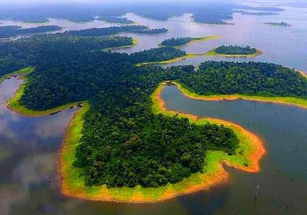 Upper view of Taï National Park