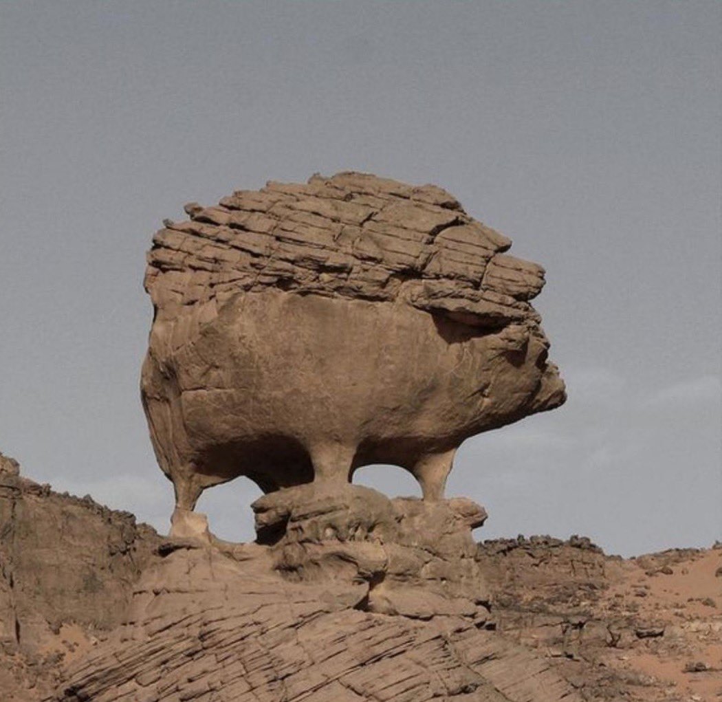 hedgehog rock form Tassili NAjjer National Park Algeria