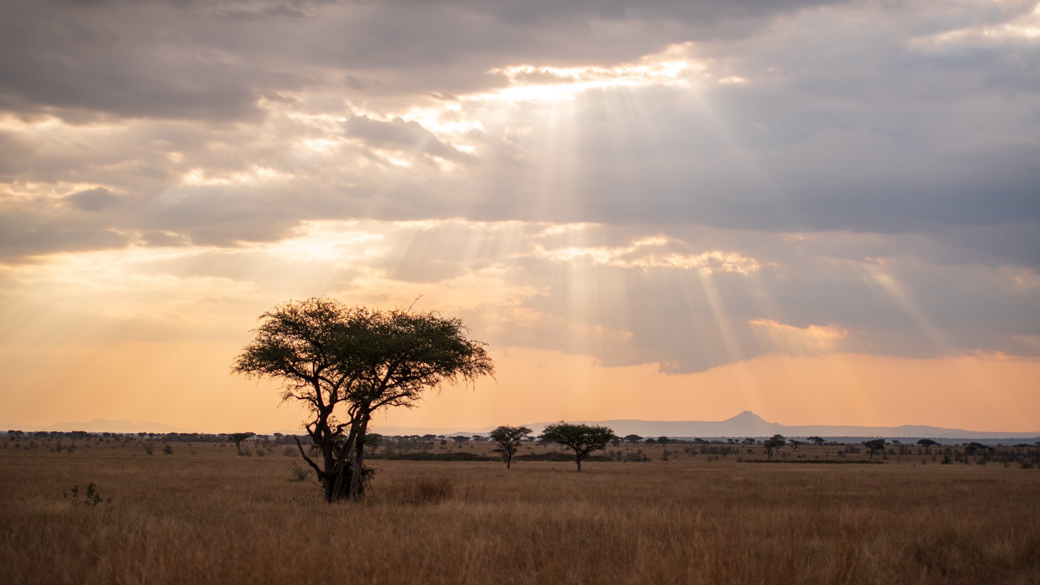 Rays Falling on the Beautiful Landscape of the Serengeti