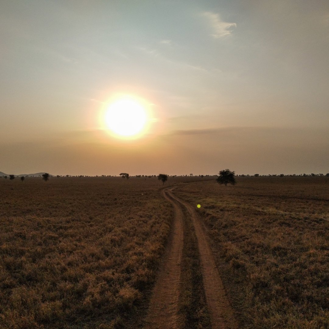 Pathway Through Masaai Mara National Park