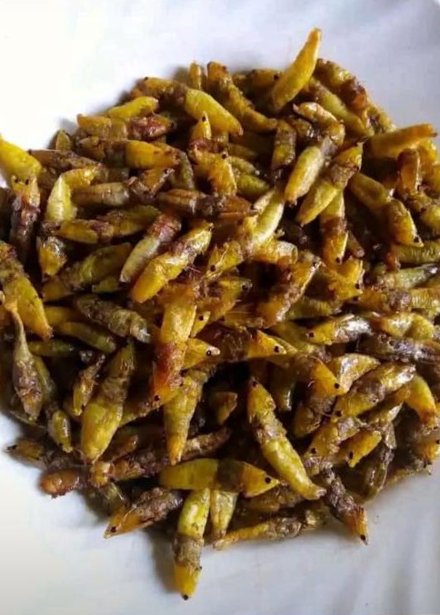 Fried grasshopper, a seasonal food in Uganda during the months of November and May . You may be lucky to taste them  during this period.