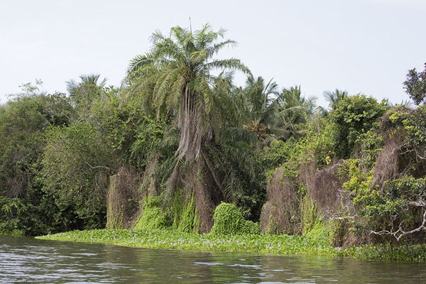 Water in Assagny National Park